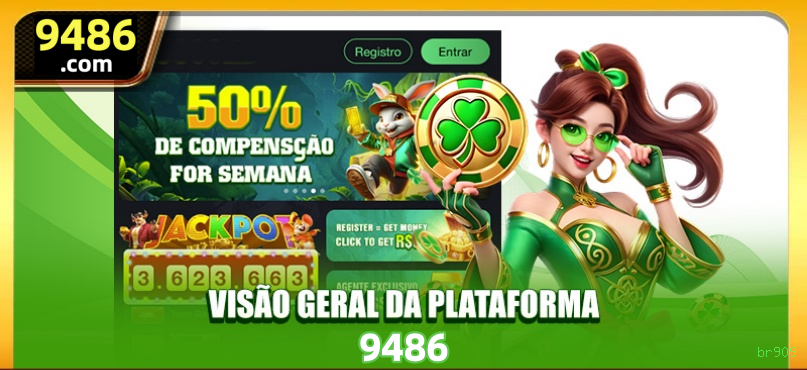 Imagem promocional do programa VIP da br909